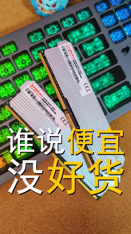 国货存储老牌精亿用事实告诉你，便宜内存有好货